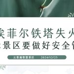 巴黎埃菲尔铁塔电梯井起火 景区安全如何保证缩略图